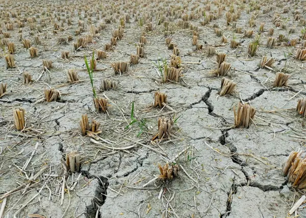 photo_himel hasanuzzaman